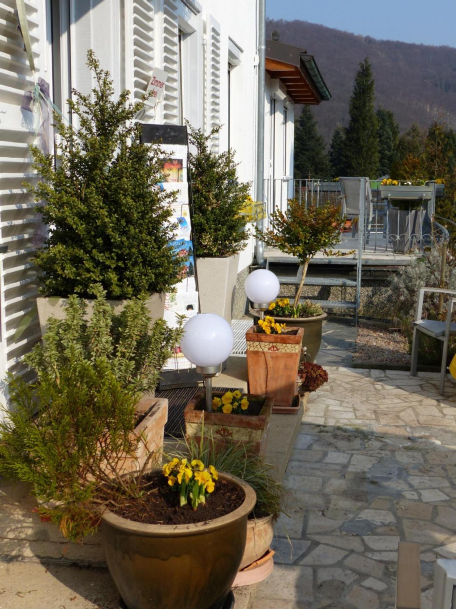 Hotel Haus Marija M Badenweiler Zewnętrze zdjęcie