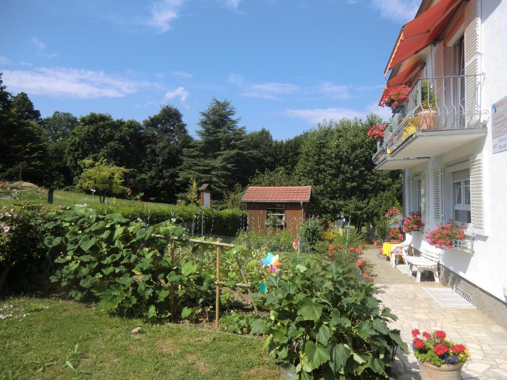 Hotel Haus Marija M Badenweiler Zewnętrze zdjęcie