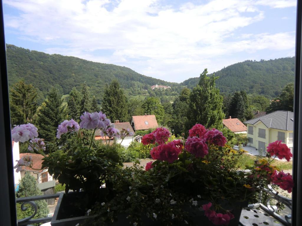 Hotel Haus Marija M Badenweiler Zewnętrze zdjęcie