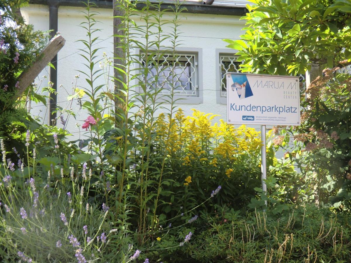 Hotel Haus Marija M Badenweiler Zewnętrze zdjęcie